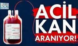 Kocaeli Şehir Hastanesi'nde acil kan aranıyor!
