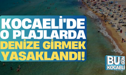 Kandıra’daki bazı sahillerde denize girmek yasaklandı!