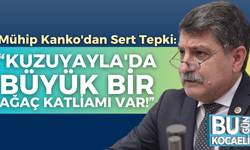 Mühip Kanko'dan Sert Tepki: “Kuzuyayla'da büyük bir ağaç katliamı var!”