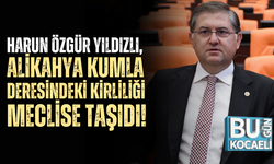 Harun Özgür Yıldızlı, Alikahya Kumla Deresindeki Kirliliği Meclise Taşıdı!