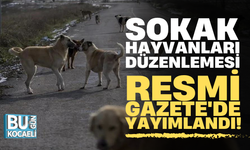Sokak hayvanları düzenlemesi Resmi Gazete'de yayımlandı!
