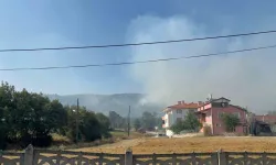 Bolu'da vatandaşlar gece gündüz tetikte: Korkudan uyuyamıyorlar!