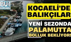 Kocaeli'de balıkçılar yeni sezonda palamutta bolluk bekliyor!