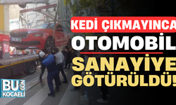 Kedi çıkmayınca, otomobil sanayiye götürüldü!