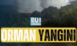 Kocaeli’de orman yangını