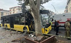 Ağaca çarpan otobüsdeki 7 kişi yaralandı
