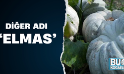 Diğer adı 'elmas'