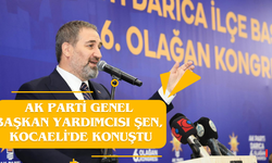 AK Parti Genel Başkan Yardımcısı Şen, Kocaeli'de konuştu: