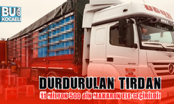Durdurulan tırdan 11 milyon 500 bin makaron ele geçirildi!