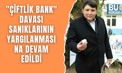"Çiftlik Bank" davası sanıklarının yargılanmasına devam edildi