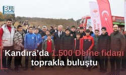 Kandıra’da 1.500 Defne fidanı toprakla buluştu