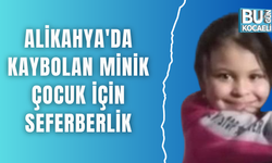 Alikahya'da kaybolan minik çocuk için seferberlik