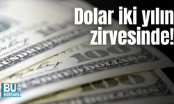 Dolar iki yılın zirvesinde!