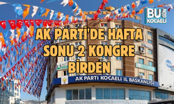 AK PARTİ'DE HAFTA SONU 2 KONGRE BİRDEN