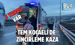 TEM KOCAELİ'DE ZİNCİRLEME KAZA: 5 YARALI 