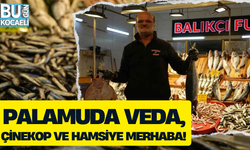 PALAMUDA VEDA, ÇİNEKOP VE HAMSİYE MERHABA!