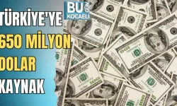 TÜRKİYE'YE 650 MİLYON DOLAR KAYNAK