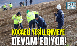 KOCAELİ YEŞİLLENMEYE DEVAM EDİYOR!