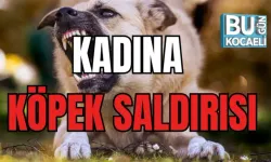 KADINA KÖPEK SALDIRISI