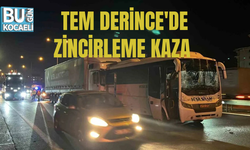 TEM DERİNCE'DE ZİNCİRLEME KAZA 