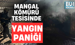 MANGAL KÖMÜRÜ TESİSİNDE YANGIN PANİĞİ