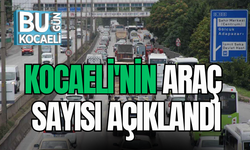 KOCAELİ'NİN ARAÇ SAYISI AÇIKLANDI