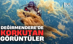 DEĞİRMENDERE'DE KORKUTAN GÖRÜNTÜLER