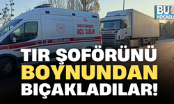 TIR ŞOFÖRÜNÜ BOYNUNDAN BIÇAKLADILAR!