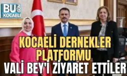 KIZILAY KADIN GÖNÜLLÜLER VALİ AKTAŞ'I ZİYARET ETTİLER