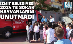 İZMİT BELEDİYESİ 2024'TE SOKAK HAYVANLARINI UNUTMADI