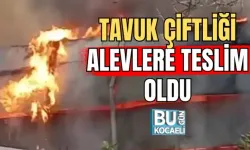 TAVUK ÇİFTLİĞİ ALEVLERE TESLİM OLDU