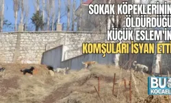 SOKAK KÖPEKLERİNİN ÖLDÜRDÜĞÜ KÜÇÜK ESLEM'İN KOMŞULARI İSYAN ETTİ