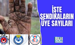 İŞTE SENDİKALARIN ÜYE SAYILARI