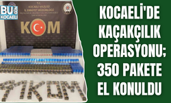 KOCAELİ'DE KAÇAKÇILIK OPERASYONU; 350 PAKETE EL KONULDU