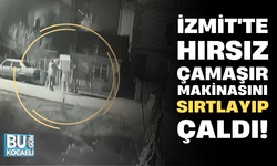 İZMİT'TE HIRSIZ ÇAMAŞIR MAKİNASINI SIRTLAYIP ÇALDI!