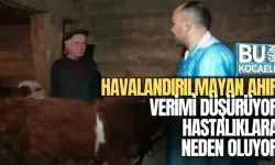 HAVALANDIRILMAYAN AHIR VERİMİ DÜŞÜRÜYOR, HASTALIKLARA NEDEN OLUYOR