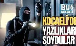 KOCAELİ'DE YAZLIKLARI SOYDULAR