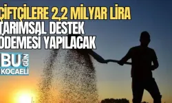 ÇİFTÇİLERE 2,2 MİLYAR LİRA TARIMSAL DESTEK ÖDEMESİ YAPILACAK