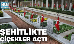 ŞEHİTLİKTE ÇİÇEKLER AÇTI