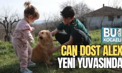 CAN DOST ALEX YENİ YUVASINDA