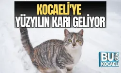 KOCAELİ'YE YÜZYILIN KARI GELİYOR