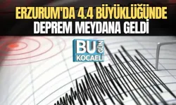 ERZURUM'DA 4.4 BÜYÜKLÜĞÜNDE DEPREM MEYDANA GELDİ