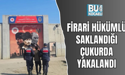 FİRARİ HÜKÜMLÜ SAKLANDIĞI ÇUKURDA YAKALANDI