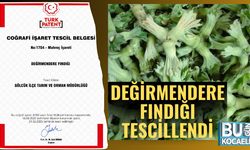 DEĞİRMENDERE FINDIĞI TESCİLLENDİ
