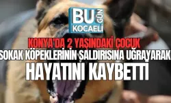 KONYA'DA 2 YAŞINDAKİ ÇOCUK SOKAK KÖPEKLERİNİN SALDIRISINA UĞRAYARAK HAYATINI KAYBETTİ