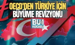 OECD'DEN TÜRKİYE İÇİN BÜYÜME REVİZYONU