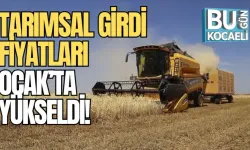 TARIMSAL GİRDİ FİYATLARI OCAK’TA YÜKSELDİ!