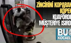 ZİNCİRİNİ KOPARAN KÖPEK KUAFÖRDE MÜŞTERİYE ISIRDI