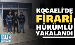 KOCAELİ'DE FİRARİ HÜKÜMLÜ YAKALANDI
