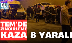 TEM'DE ZİNCİRLEME KAZA; 8 YARALI
